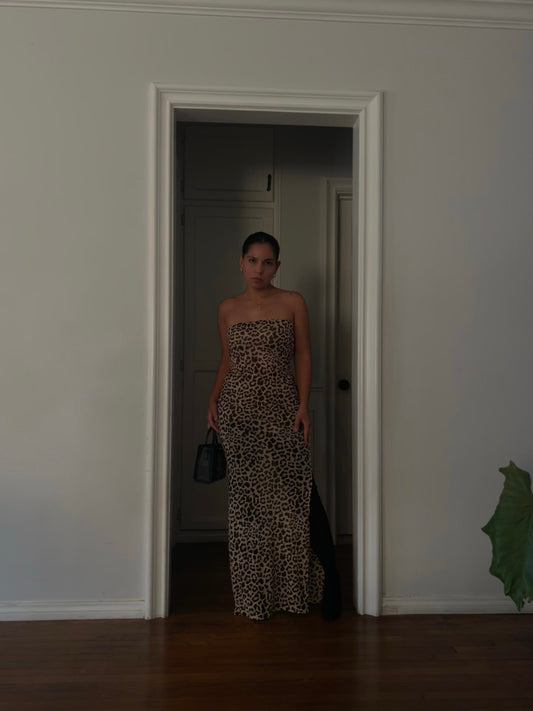 Leopard Sheer Tube Dress